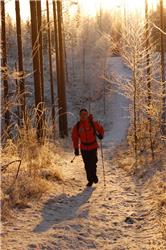 Täydellinen harjoittelusää